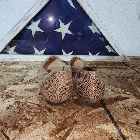 MICHAEL SHANNON (Alara) Ballet Flats Pointed Toe (Snakeskin Print) - SIZE 11 - Picture 2 of 9